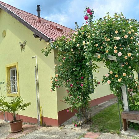 Arnyas Park Apartmanhaz Bed & Breakfast Balatonalmadi Luaran gambar